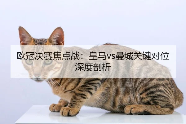 欧冠决赛焦点战：皇马vs曼城关键对位深度剖析