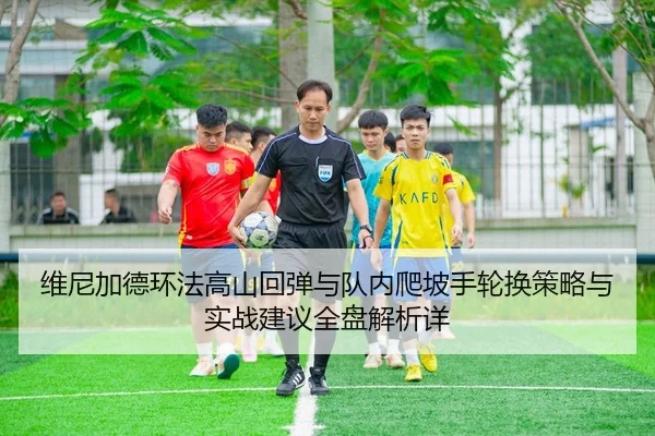 维尼加德环法高山回弹与队内爬坡手轮换策略与实战建议全盘解析详